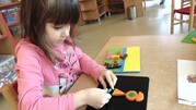 DSC02355.JPG